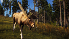 WAY OF THE HUNTER (ELITE EDITION) PC - ENVIO DIGITAL - ConectaKeys
