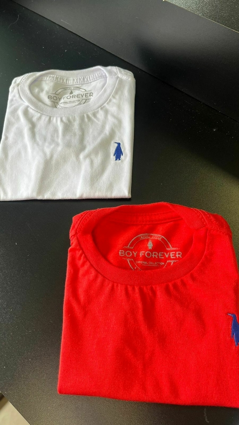 Camiseta 100% Algodão