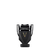 INVICTUS VICTORY ABSOLU PARFUM RABANNE