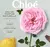 CHLOÉ NATURELLE EDP na internet