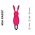Mini Rabbit