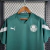 Camisa Palmeiras Treino 23/24 Torcedor Puma Masculina - Verde - Cadfer Sports
