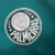 Camisa Palmeiras Treino 23/24 - Torcedor Puma Masculina - Verde