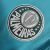 Camisa Palmeiras Treino 23/24 - Torcedor Puma Masculina - Verde - Cadfer Sports