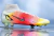 Chuteira Nike Mercurial Superfly 8 FG Elite Dreamspeed 004 - tienda online