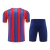 Kit Treino adulto - Camisa e Shorts - Barcelona Nike 23/24 - Azul e vermelho com detalhes em amarelo en internet