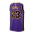 Camiseta Regata NBA Los Angeles Lakers 23/24 - Masculina Jordan - Roxa - comprar online