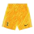 Shorts Tottenham Goleiro 24/25 - Masculino Nike - Amarelo