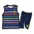 Kit Treino adulto - Camisa e Shorts - Seleção França Nike 24/25 - Azul com detalhes coloridos - buy online