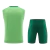 Kit Treino adulto - Camisa e Shorts - Palmeiras Puma 24/25 - Verde en internet