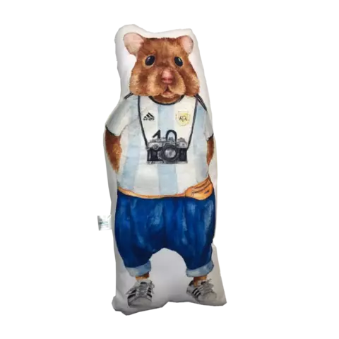 Almohadones ratones Argentinos - “Nina explora argentina” - comprar online