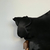 Funda Antiage Antifrizz de seda de morera para almohada tamaño Queen (51 cm x 76 cm) 22 momme. en internet