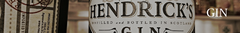 Banner de la categoría Gin