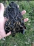 Collares obsidiana Cuerda en internet