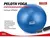 Pelota Yoga Esferodinamia Suiza IDEAL™ 65 Cm Gym Pilates + Inflador - comprar online