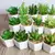 Planta Artificial 1606 / 9 x 6 cm. en internet