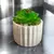 Planta Artificial 1607 / 8 x 7 cm. - comprar online