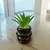 Planta Artificial 1623 / 16 x 7 cm. - comprar online