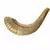 Shofar de Carnero Chico de 18 a 22 cm (CA-CH1) - Kol Judaica