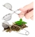 Cuchara Infusora Colador – Para té en hebras o café - comprar online