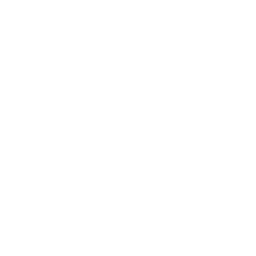 GG FANÁTICOS