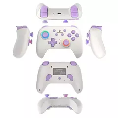 Gamepad Anbernic RG P01 en internet