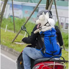 Mochila p/ transporte de pet - quartodopet