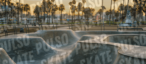 Carrusel Pulso Skate Shop