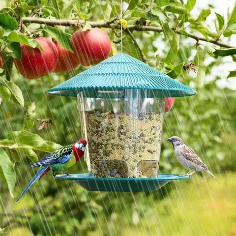 Comedouro Automático para Aves - comprar online