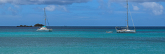 Banner de la categoría TOPS
