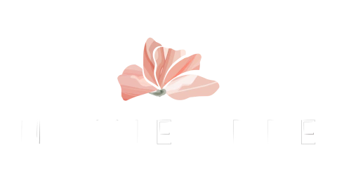 Porquenaciennoviembre