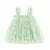 Sem mangas Daisy Floral Tutu Dress, Vestido de tule em camadas, Princess Birthday Dresses, Toddler Kids, Girls Party, Verão, 2023 - comprar online