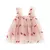 Sem mangas Daisy Floral Tutu Dress, Vestido de tule em camadas, Princess Birthday Dresses, Toddler Kids, Girls Party, Verão, 2023 - Dona da loja.com