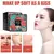 Base BB Cream+ESPONJA COM FORMATO DE COGUMELO - comprar online