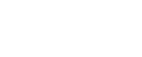 2P DESIGNER