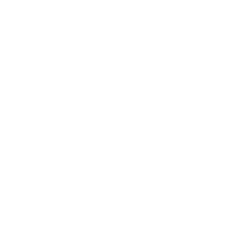 F1NAL COMPANY