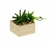 Plantin Maceta Madera