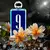 Perfume AFNAN 9AM Dive x 100 ml - tienda online