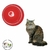 Comedouro Postura Correta para Gatos - Vermelho na internet
