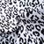 Conjunto de saias de leopardo recém-nascido, roupa de bebê, manga comprida, ou - Irislandia Variedades