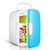 MINI GELADEIRA FRIGOBAR 2 EM 1 REFRIGERADOR E AQUECEDOR 12V 4L RETRO CASA E CARR na internet