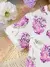 Imagem do Vestido casual estampado floral para meninas, manga curta, arco plissado, roupa
