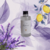 Refil Spray - Teorah na internet