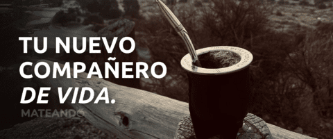 Carrusel Mateando La Plata
