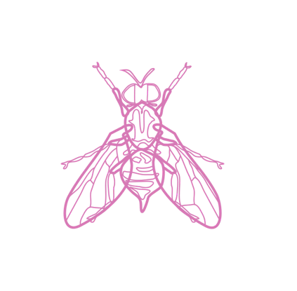 Mosca The Collection