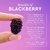 *PREORDEN* Glow Recipe | Blackberry Retinol Blemish Serum - 24 Beauty Mx