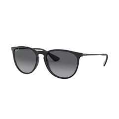Ray Ban Erika Classic Matte Black - comprar online