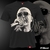 Remera Estampada INDIO SOLARI PIX