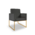 Kit 02 Poltronas Clínica Courino 3 Cores- Base Ferro Dourado