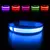Coleiras de segurança luminosa para animais, impermeável. - comprar online